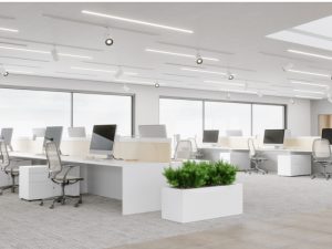 Alasan Utama Restoran Beralih ke Sumpit Bambu untuk Mengurangi Limbah Plastik dan Biaya Operasional